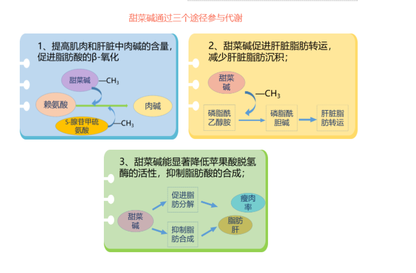 截图.png